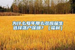 为什么每年那么多应届生选择落户深圳？（福利）