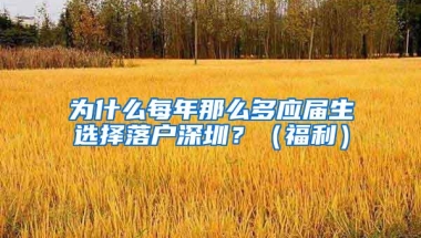 为什么每年那么多应届生选择落户深圳？（福利）