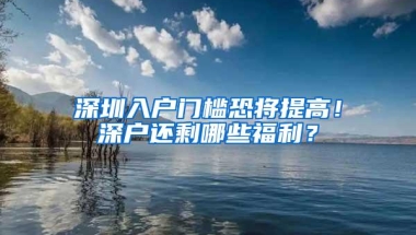 深圳入户门槛恐将提高！深户还剩哪些福利？