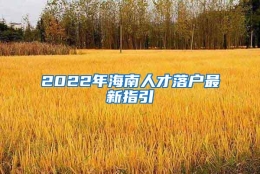 2022年海南人才落户最新指引