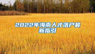 2022年海南人才落户最新指引