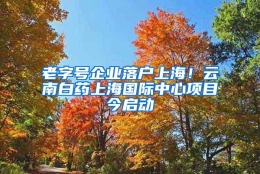 老字号企业落户上海！云南白药上海国际中心项目今启动