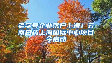 老字号企业落户上海！云南白药上海国际中心项目今启动