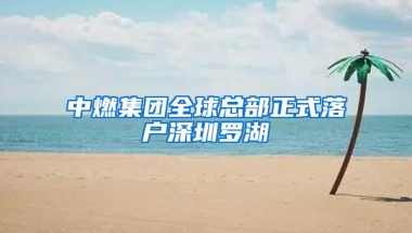 中燃集团全球总部正式落户深圳罗湖