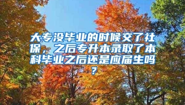 大专没毕业的时候交了社保，之后专升本录取了本科毕业之后还是应届生吗？