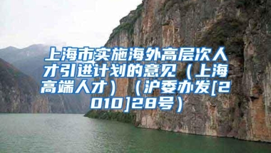 上海市实施海外高层次人才引进计划的意见（上海高端人才）（沪委办发[2010]28号）