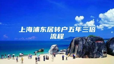 上海浦东居转户五年三倍流程