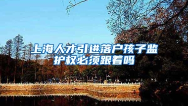 上海人才引进落户孩子监护权必须跟着吗