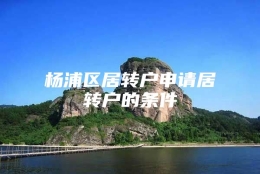 杨浦区居转户申请居转户的条件