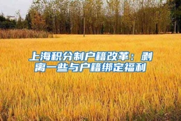 上海积分制户籍改革：剥离一些与户籍绑定福利