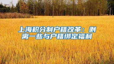 上海积分制户籍改革：剥离一些与户籍绑定福利