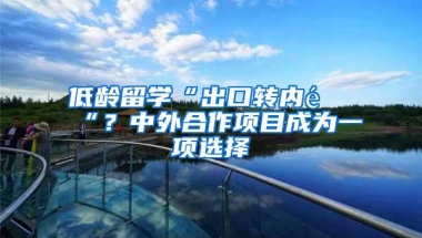 低龄留学“出口转内销“？中外合作项目成为一项选择