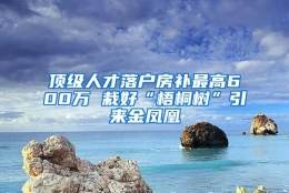 顶级人才落户房补最高600万 栽好“梧桐树”引来金凤凰