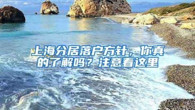 上海分居落户方针，你真的了解吗？注意看这里