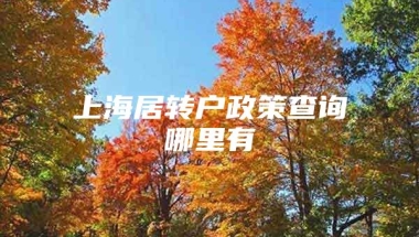 上海居转户政策查询哪里有