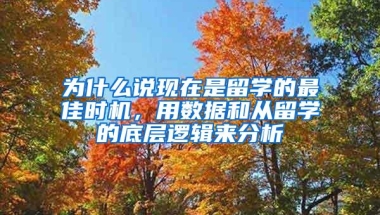 为什么说现在是留学的最佳时机，用数据和从留学的底层逻辑来分析