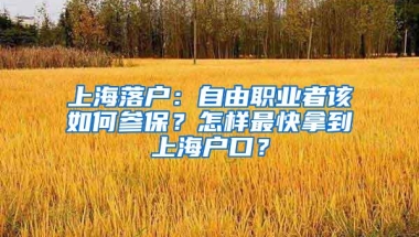 上海落户：自由职业者该如何参保？怎样最快拿到上海户口？