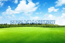 2022上海人才引进过程