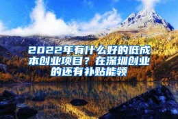 2022年有什么好的低成本创业项目？在深圳创业的还有补贴能领