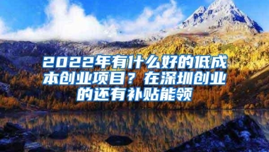 2022年有什么好的低成本创业项目？在深圳创业的还有补贴能领