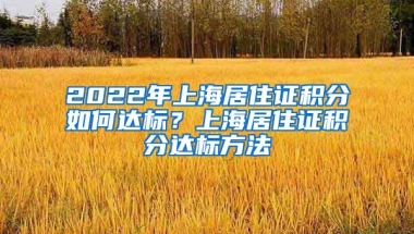 2022年上海居住证积分如何达标？上海居住证积分达标方法