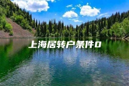 上海居转户条件0