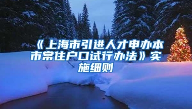 《上海市引进人才申办本市常住户口试行办法》实施细则