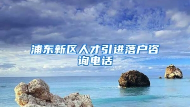 浦东新区人才引进落户咨询电话