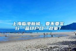 上海临港新城，要不要实行“蓝印户口”政策？