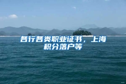 各行各类职业证书，上海积分落户等