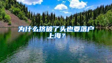 为什么挤破了头也要落户上海？