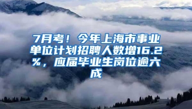 7月考！今年上海市事业单位计划招聘人数增16.2%，应届毕业生岗位逾六成