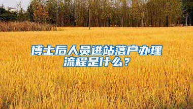 博士后人员进站落户办理流程是什么？