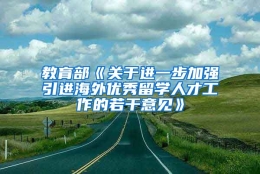 教育部《关于进一步加强引进海外优秀留学人才工作的若干意见》