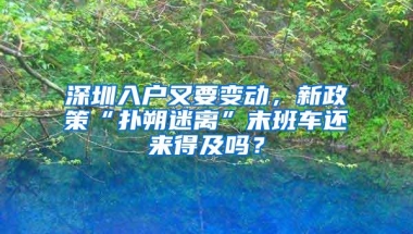 深圳入户又要变动，新政策“扑朔迷离”末班车还来得及吗？