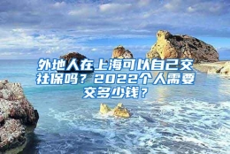 外地人在上海可以自己交社保吗？2022个人需要交多少钱？