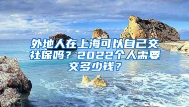 外地人在上海可以自己交社保吗？2022个人需要交多少钱？