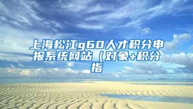 上海松江g60人才积分申报系统网站（对象+积分指