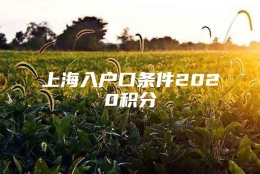 上海入户口条件2020积分