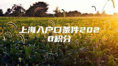 上海入户口条件2020积分