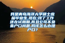 我是青岛海洋大学硕士应届毕业生,现在;找了工作还在试用期,而且公司不负责户口问题,我该怎么办理户口？