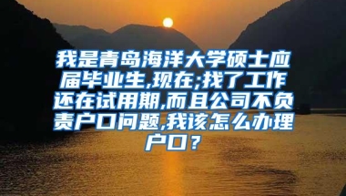 我是青岛海洋大学硕士应届毕业生,现在;找了工作还在试用期,而且公司不负责户口问题,我该怎么办理户口？