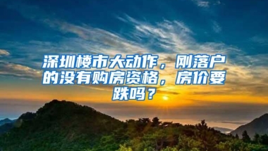 深圳楼市大动作，刚落户的没有购房资格，房价要跌吗？