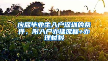 应届毕业生入户深圳的条件，附入户办理流程+办理材料