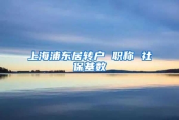 上海浦东居转户 职称 社保基数