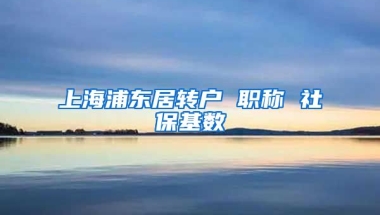 上海浦东居转户 职称 社保基数