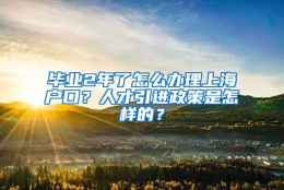 毕业2年了怎么办理上海户口？人才引进政策是怎样的？