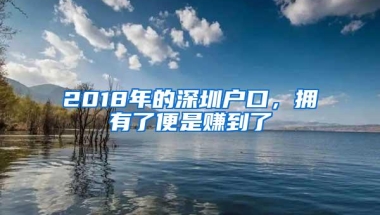 2018年的深圳户口，拥有了便是赚到了