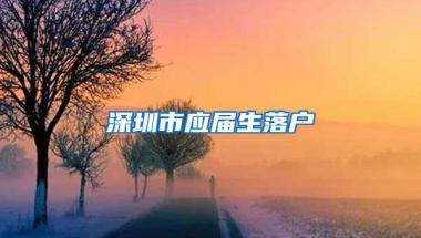 深圳市应届生落户