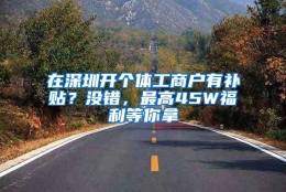 在深圳开个体工商户有补贴？没错，最高45W福利等你拿